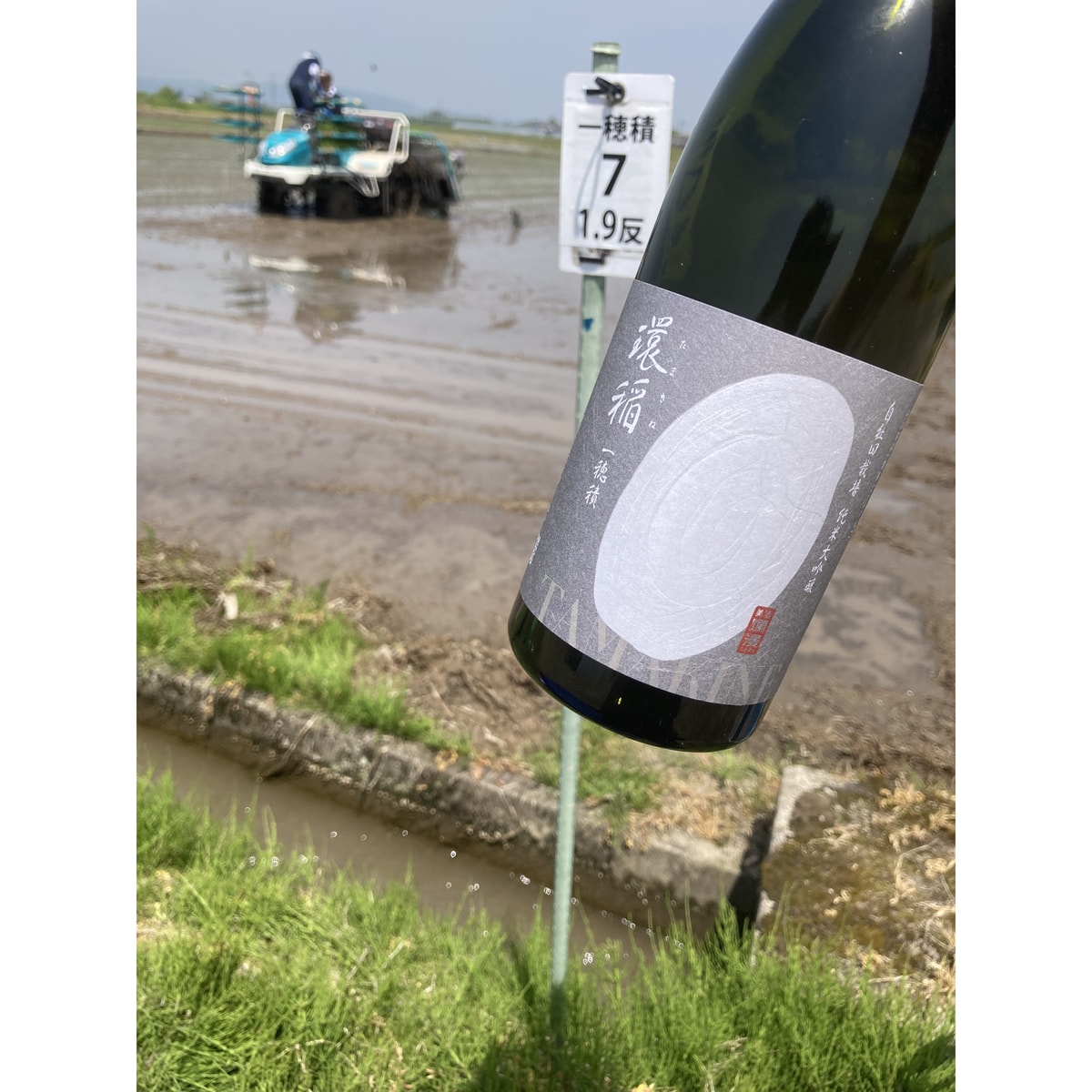 秋田銘醸 純米大吟醸 環稲 一穂積（たまきね いちほづみしこみ） 720m