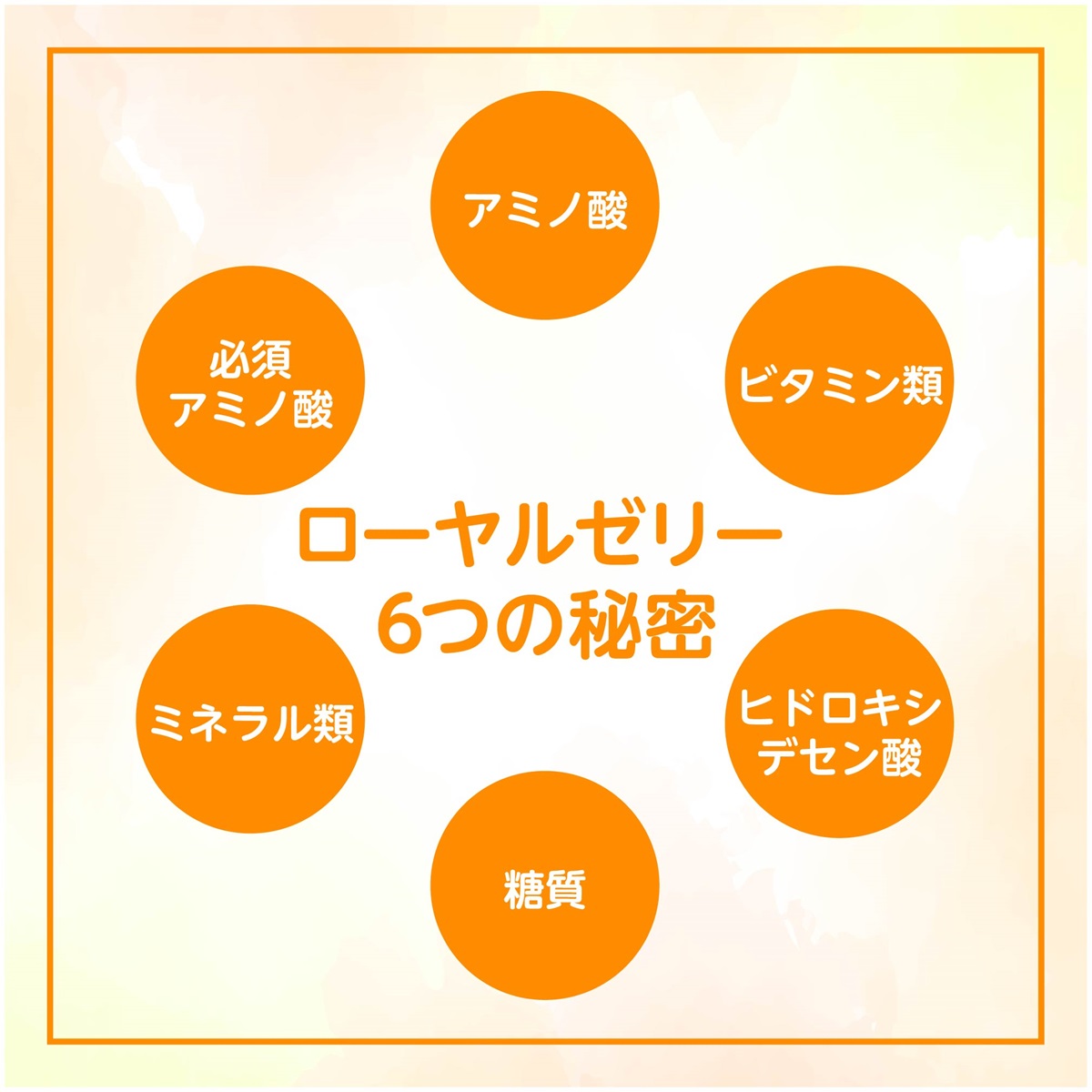 レイヴィ―　ボディシャンプー　RJ　１１５０ｍｌ