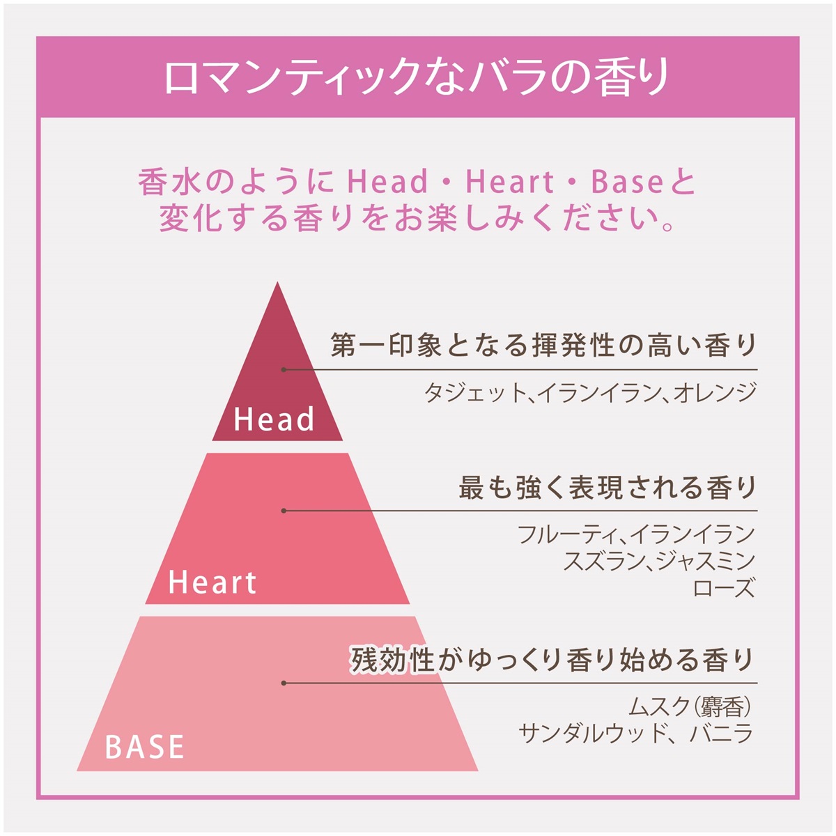 レイヴィ―　ボディシャンプー　RH　１１５０ｍｌ