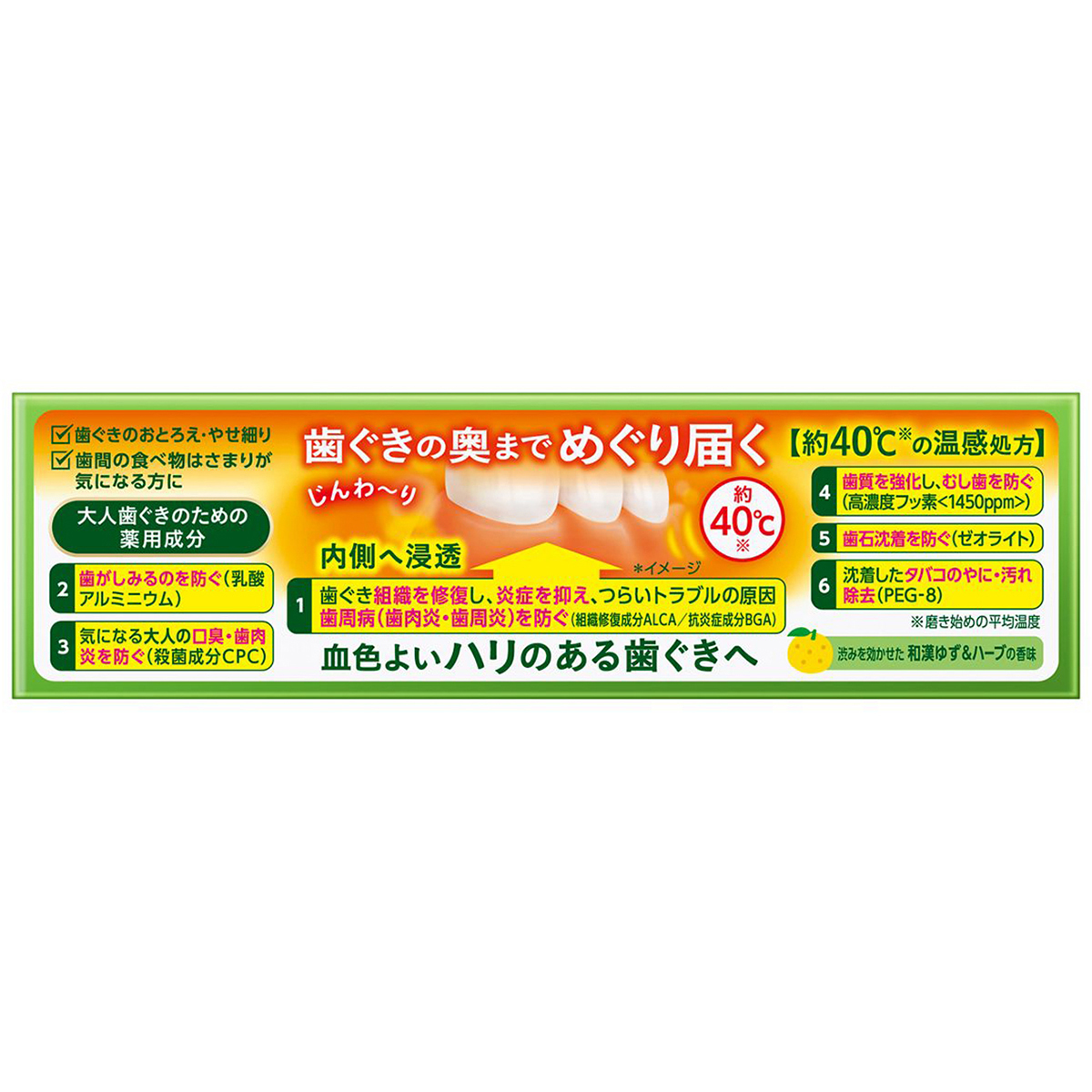 ディープクリーン　薬用温感ハミガキ　８５ｇ