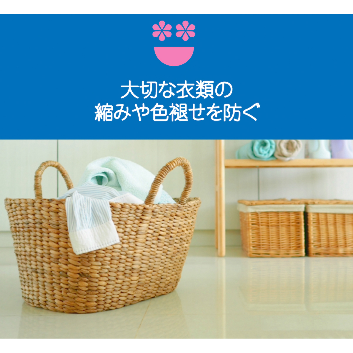 エコベール　デリケートウォッシュ（おしゃれ着用洗剤）　750ML