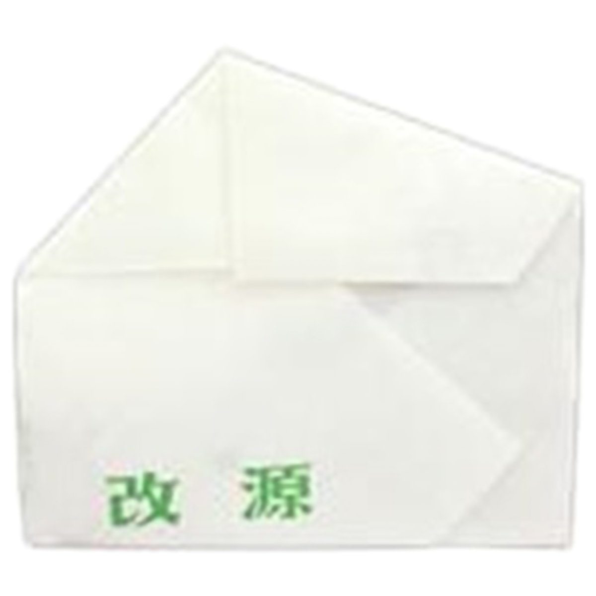 カイゲン　改源　９包