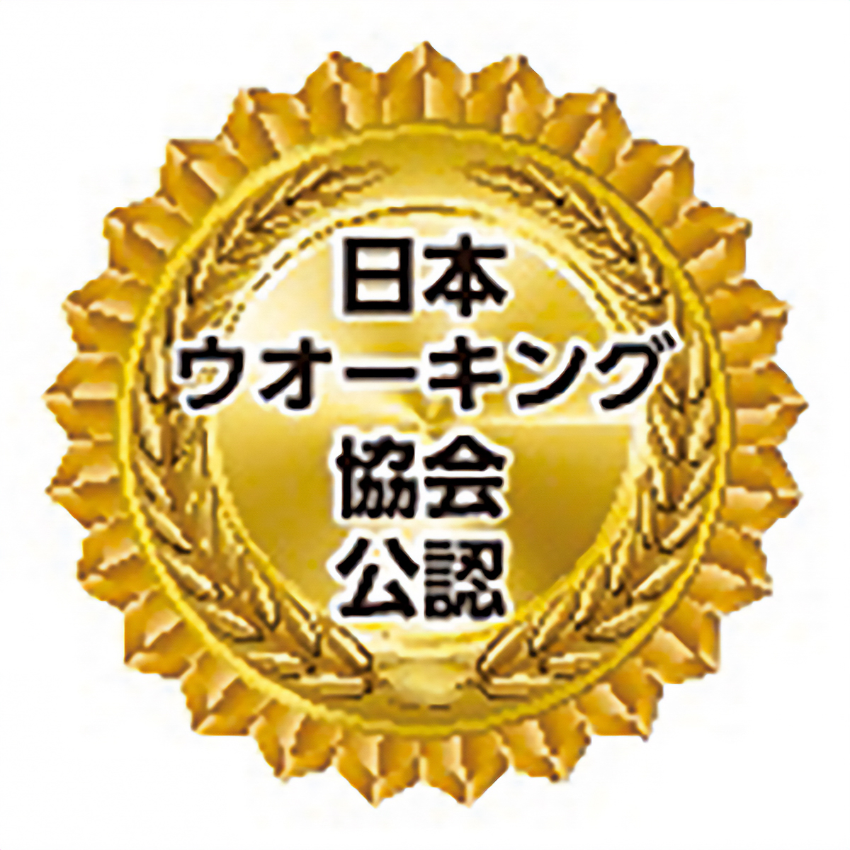 ＜Ｌｏｃｏｘ＞はくだけエクスパッツＮＥＯ婦人用