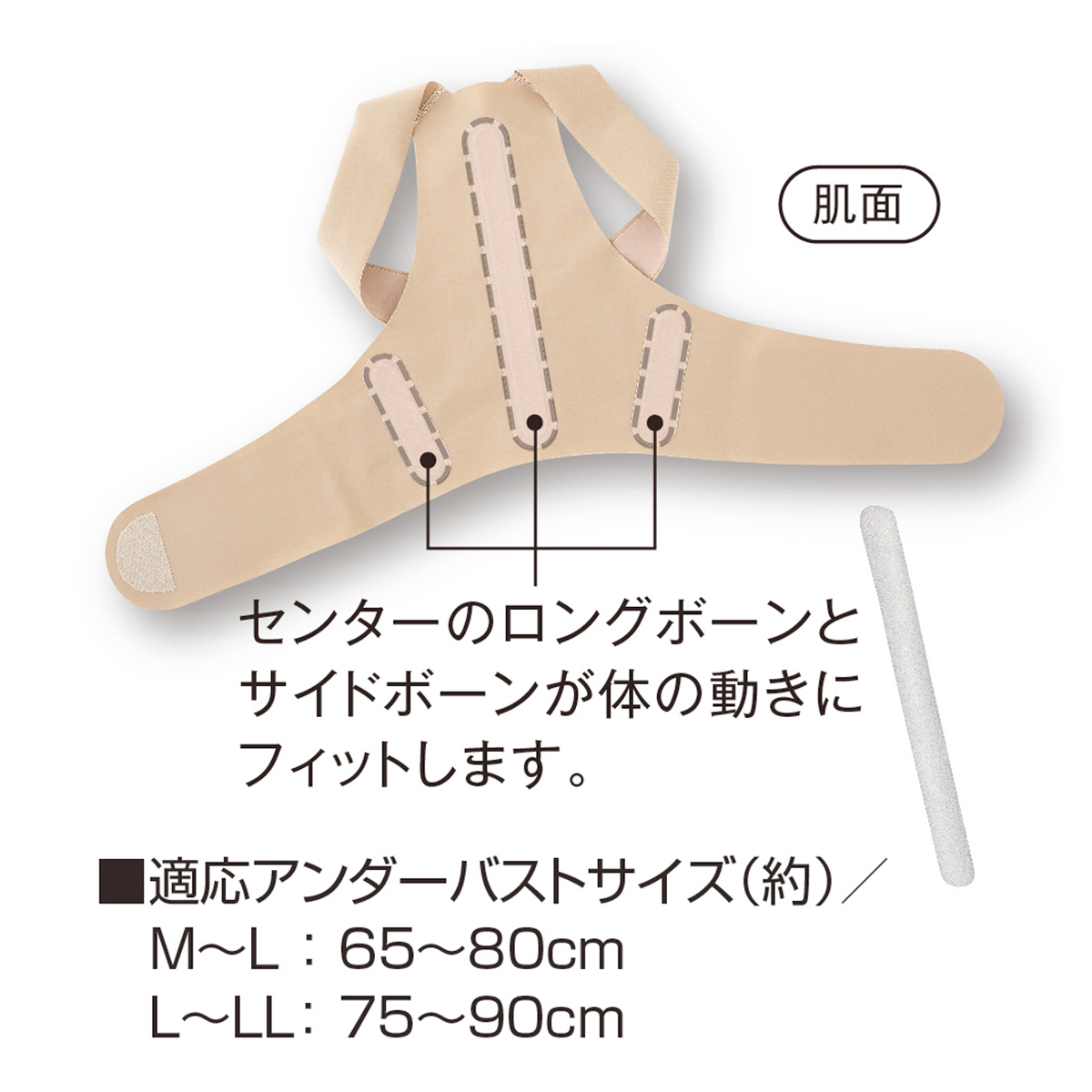 お医者さんの体幹姿勢サポーターピタ肌