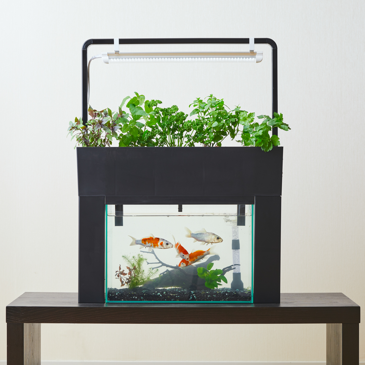 アクアスプラウトSV ～ おさかな畑 ～ ＋植物用 フルスペクトル LEDライト　かぜとゆきオリジナルセット