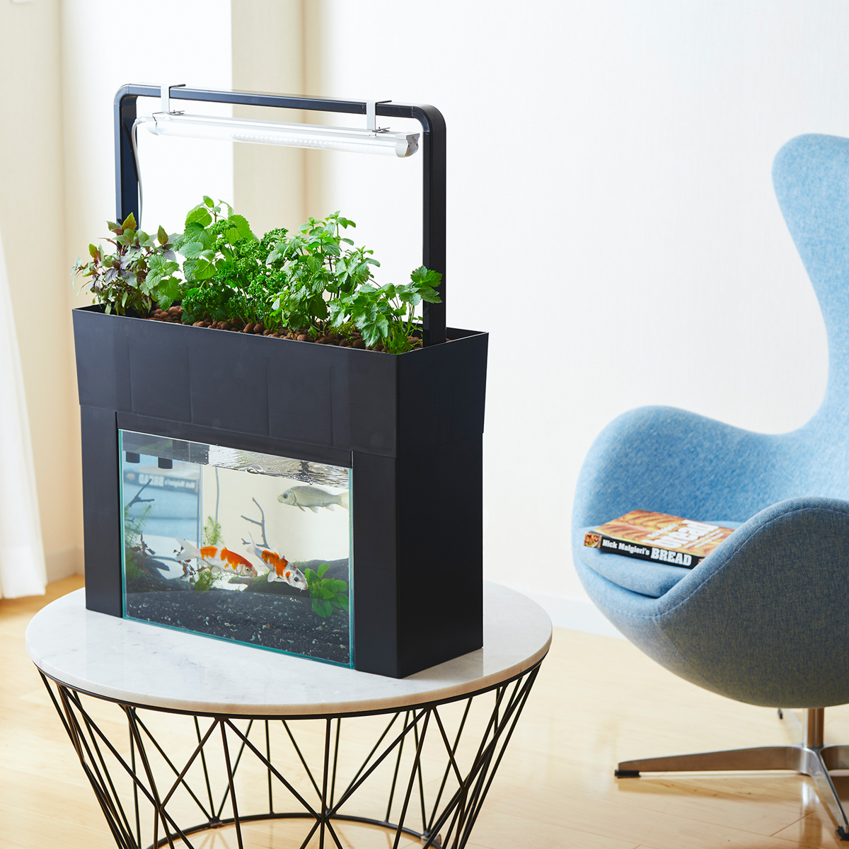 アクアスプラウトSV ～ おさかな畑 ～ ＋植物用 フルスペクトル LEDライト　かぜとゆきオリジナルセット