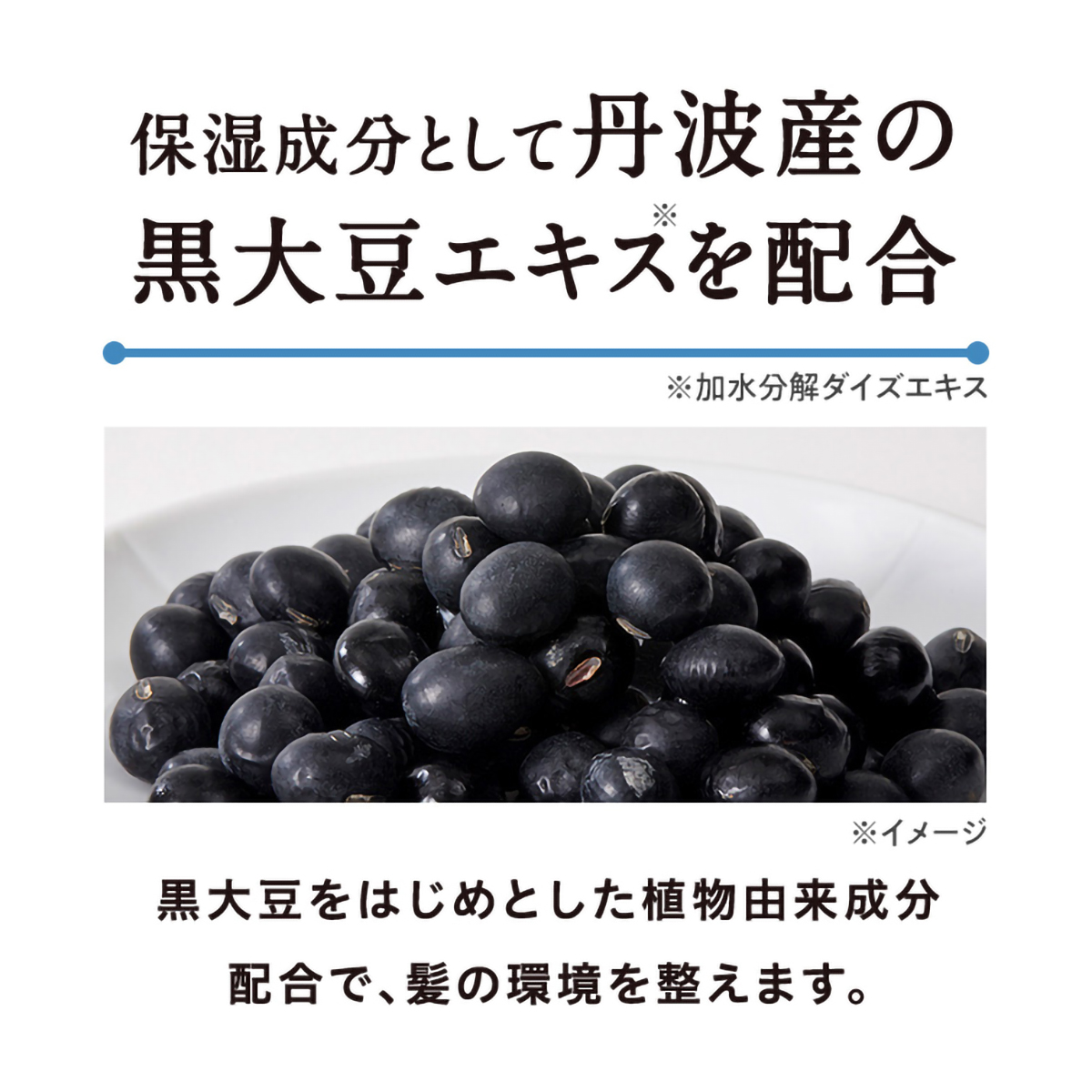 イーロ　白髪を染めるカラーシャンプー　（男女兼用）