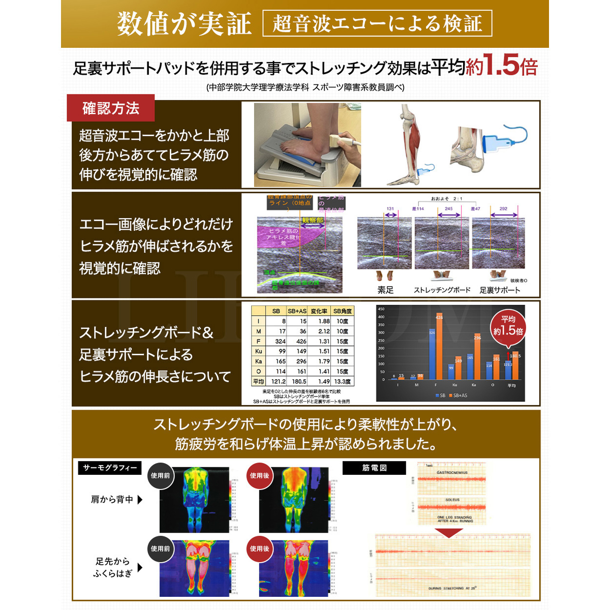 アサヒ　ストレッチングボード　足裏サポート付き