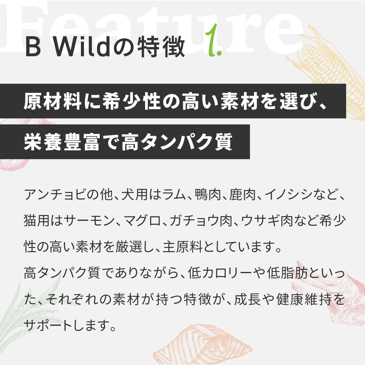 ペット】Bwild アンチョビwithポテト＆エンドウ豆 800g 皮膚被毛