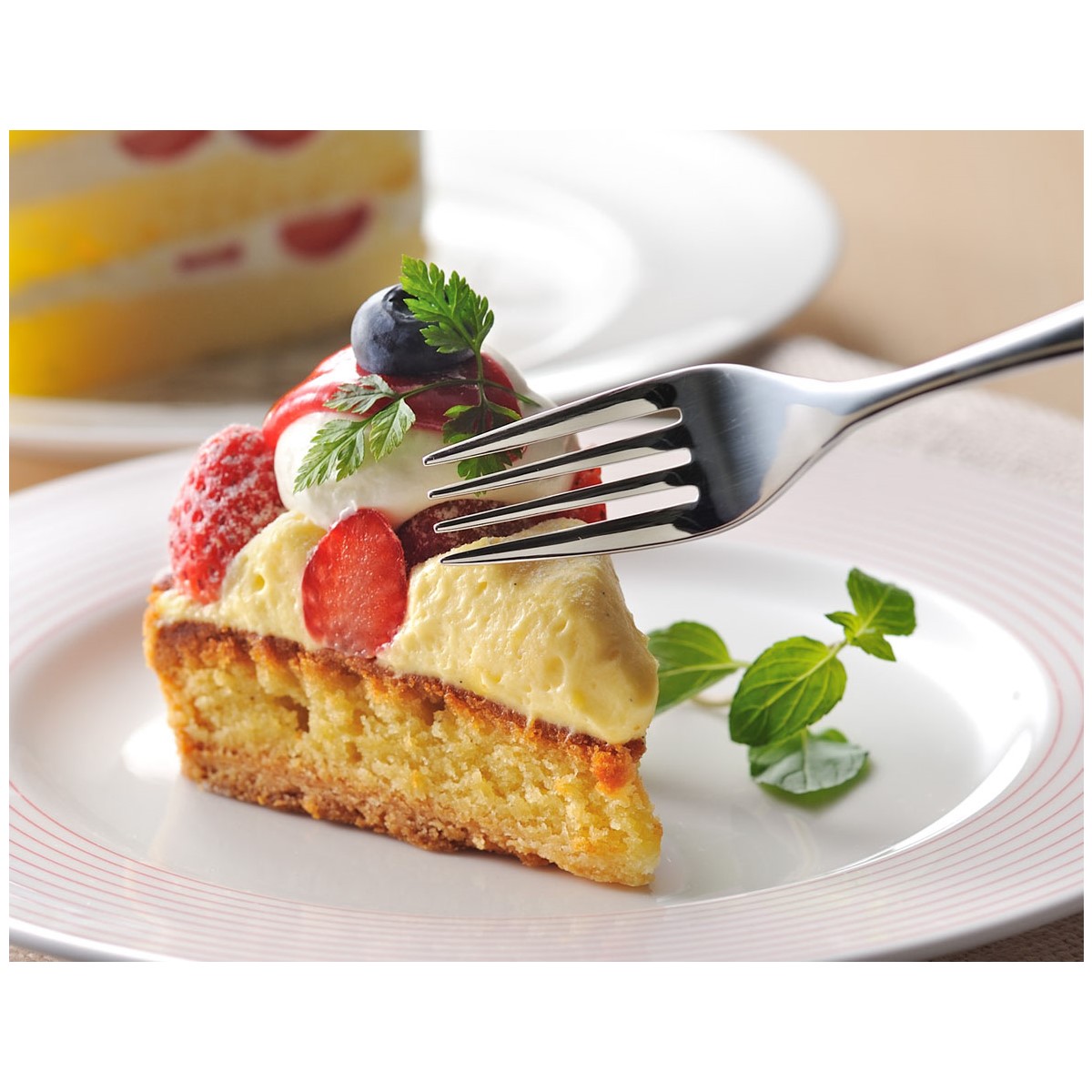 TSUBAME ミディアムフォーク5本組