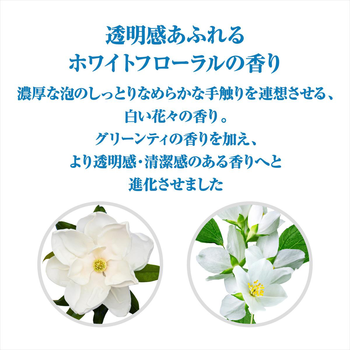 センカ パーフェクトホイップ スピーディー 150ml