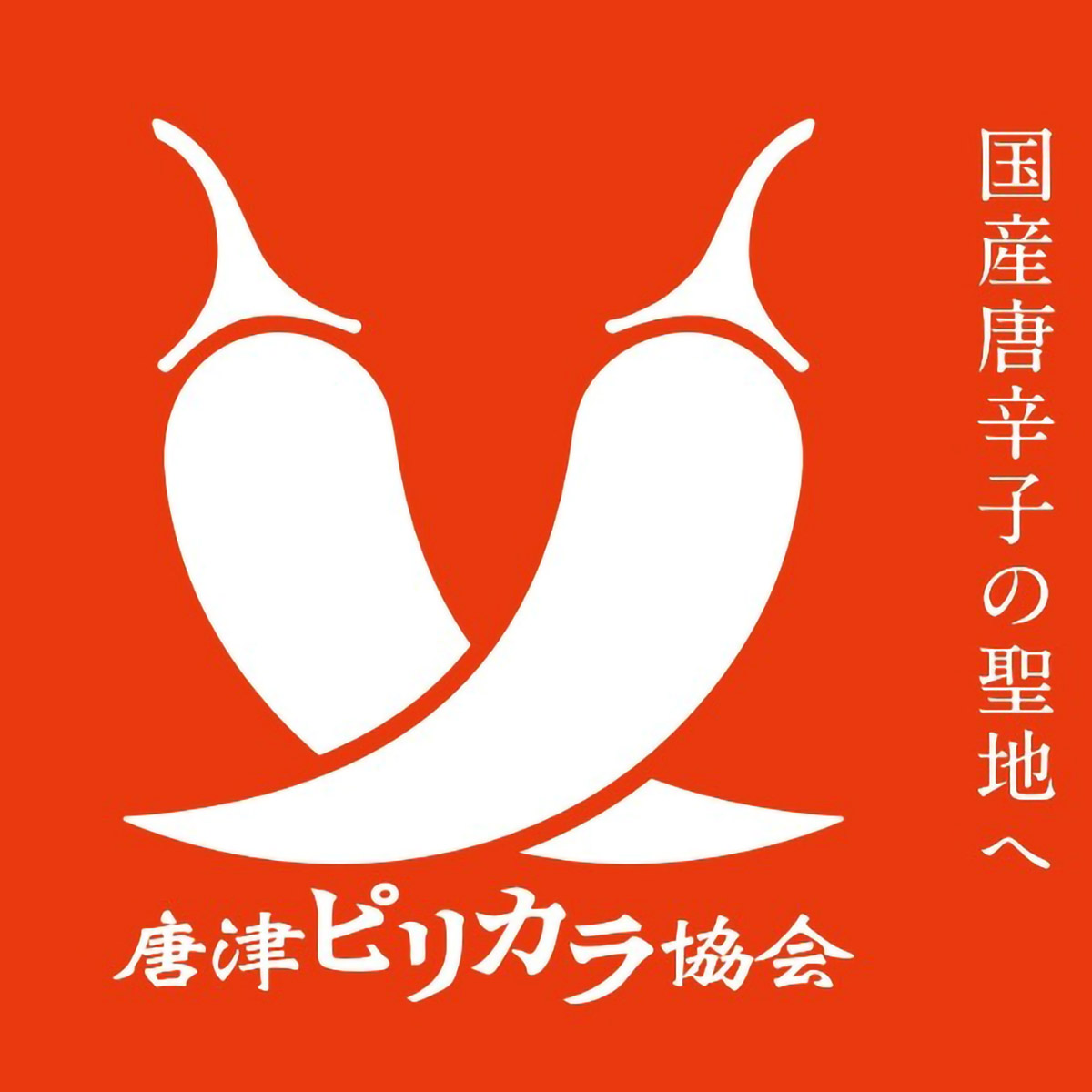 【唐津ピリカラ協会】金獅子（国産げんこう柚子胡椒 8g缶入）
