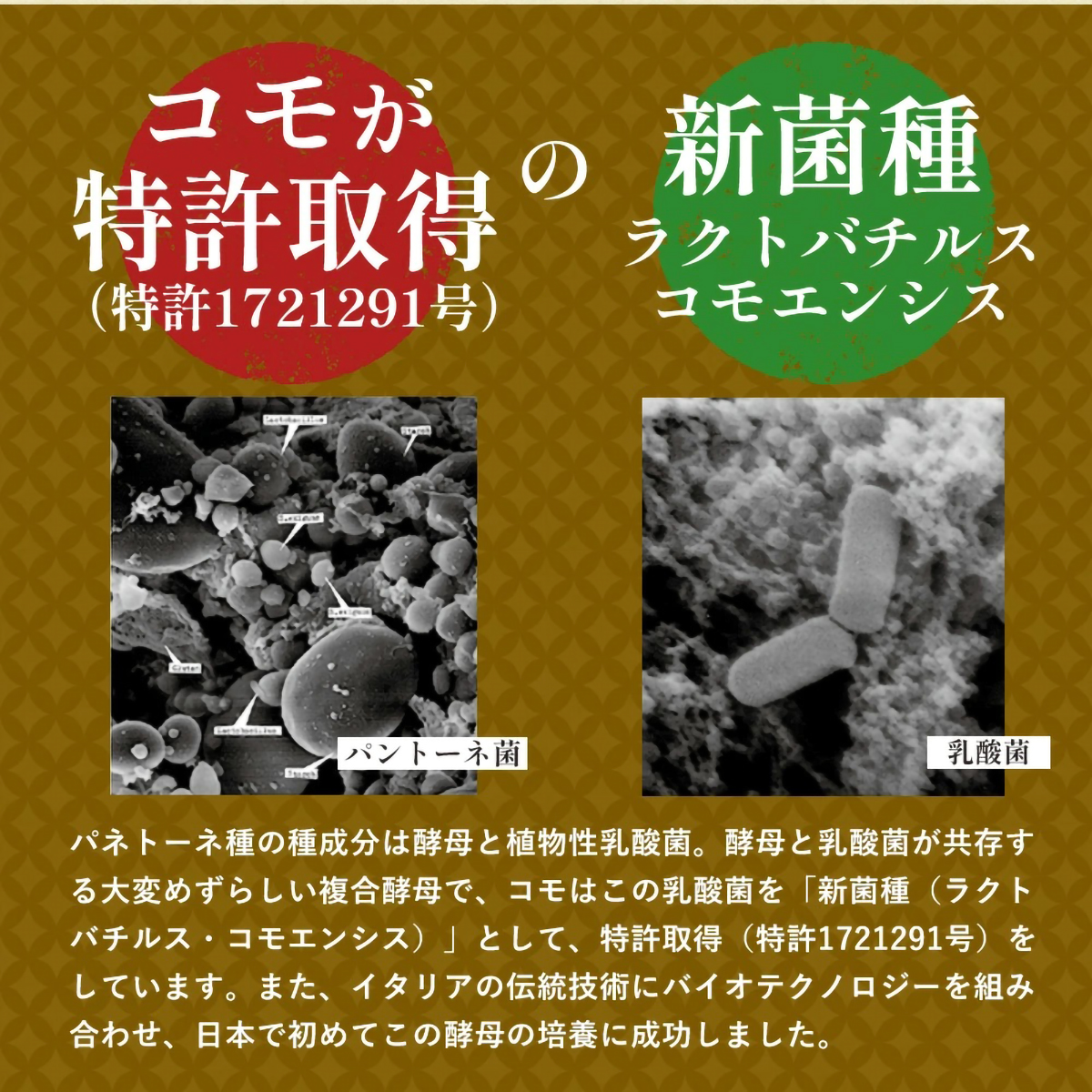まとめ売り　コモの毎日クロワッサン じゃがりこ ブタメン　➕おまけ コモ】毎日クロワッサン（箱売16個） | かぜとゆきオンラインショップ