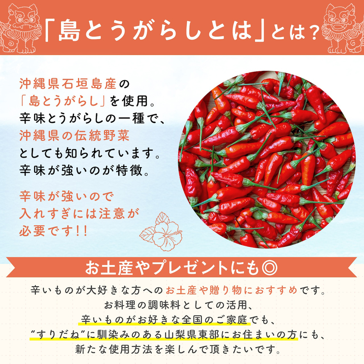 島とうがらしすりだね 260406
