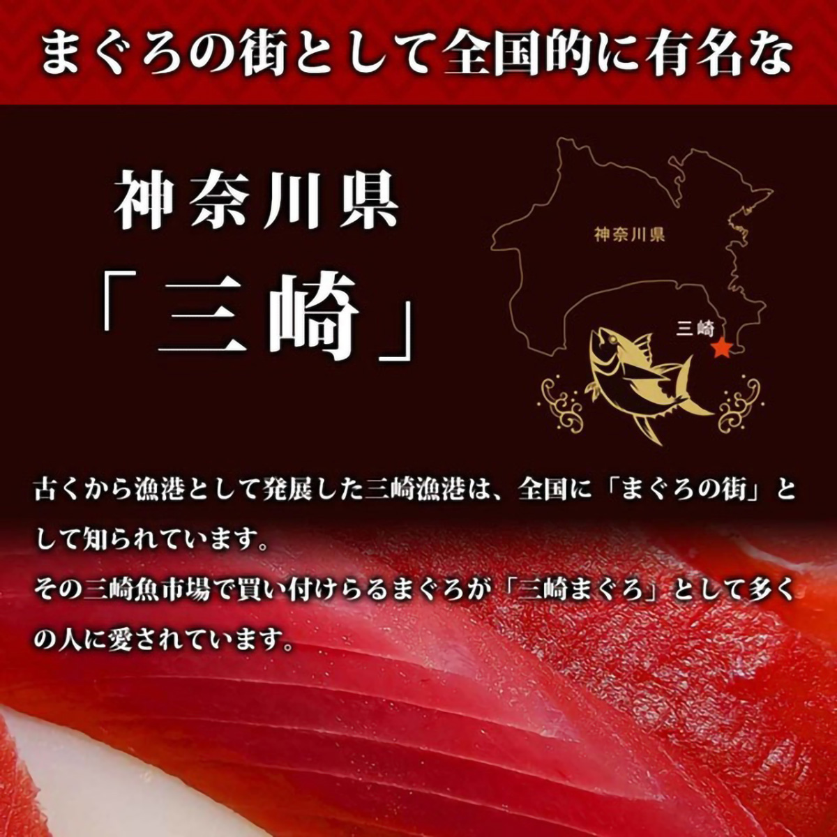 三崎港まぐろカレー 270216