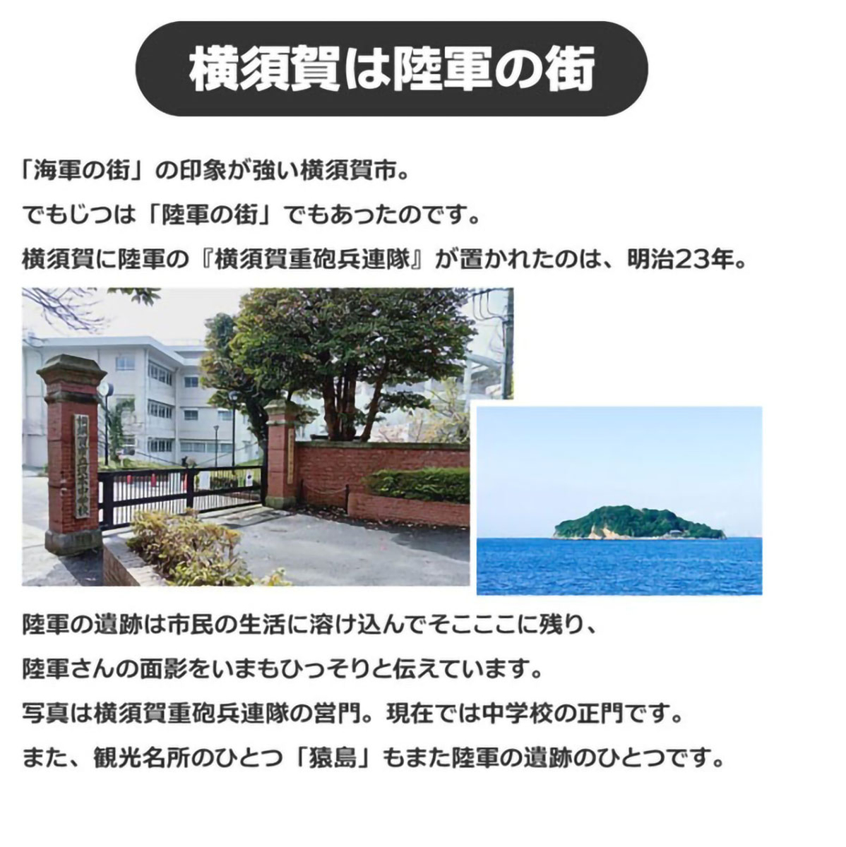 陸軍さんのビーフシチュー