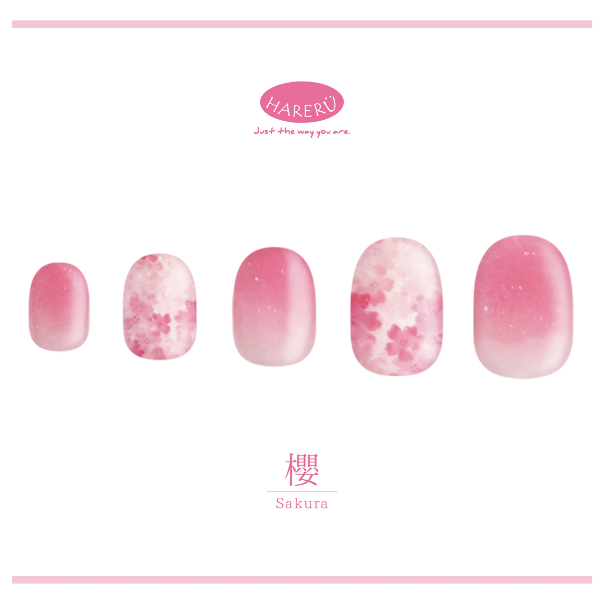 櫻（さくら）_hareru