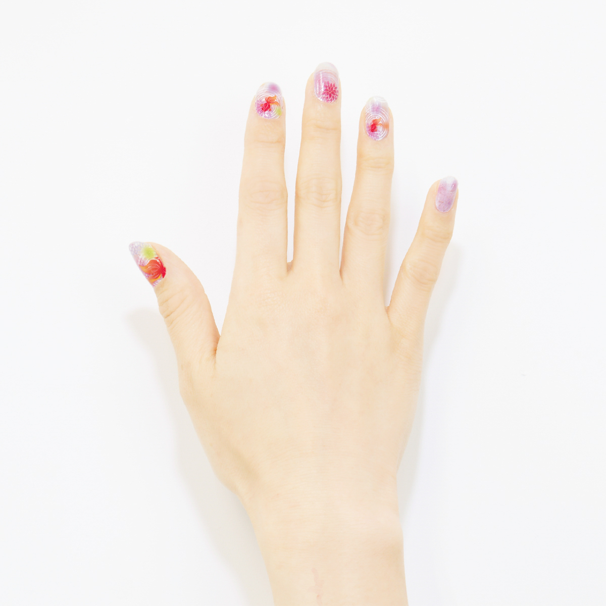 金魚（きんぎょ）_WASO