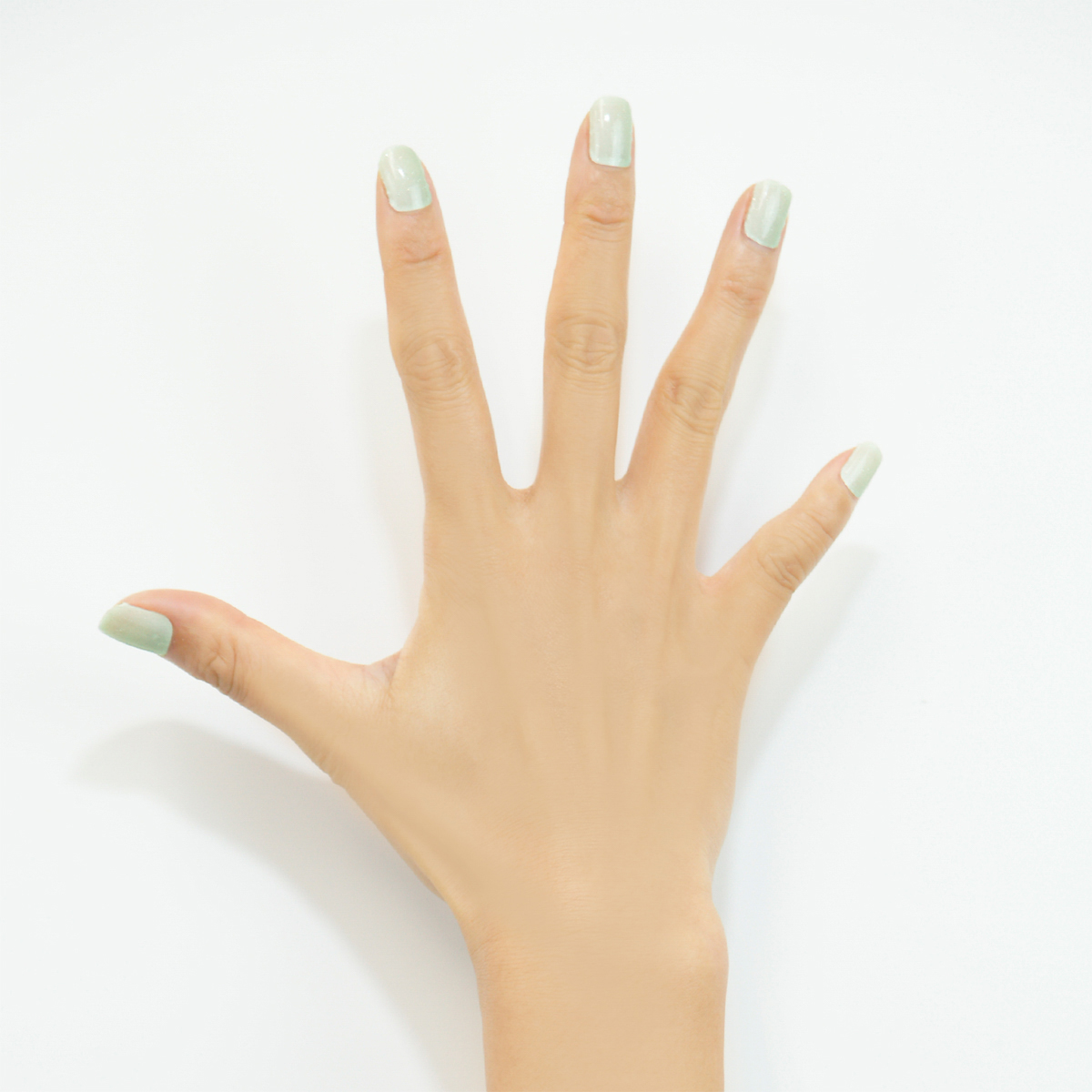 ホワイト×グリーン_BASIC