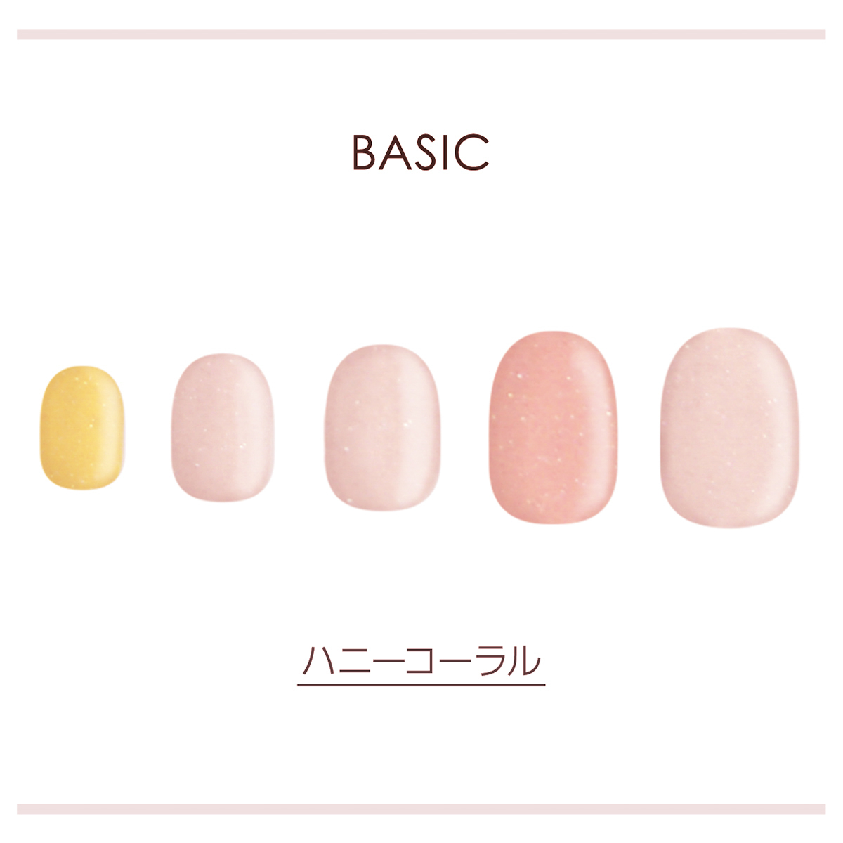 ハニーコーラル_BASIC