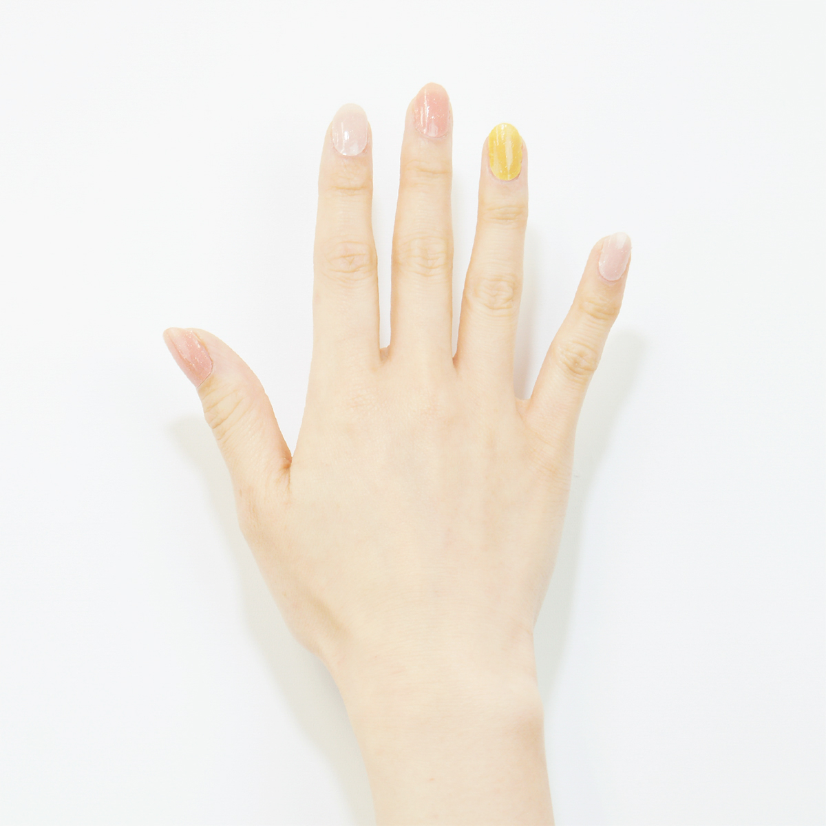 ハニーコーラル_BASIC