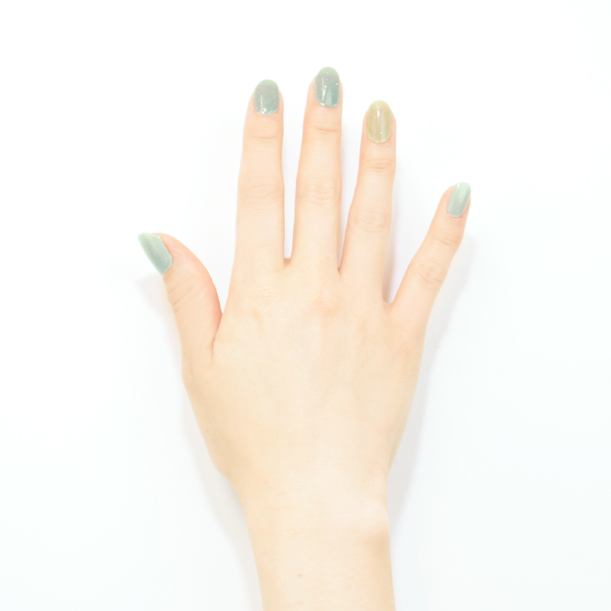 フォレストグリーン_BASIC