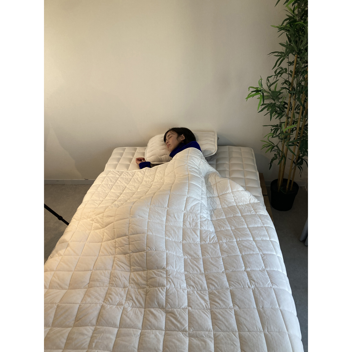 京都府認定　PREMIUM　WOOL　ライトウェイト掛けふとん
