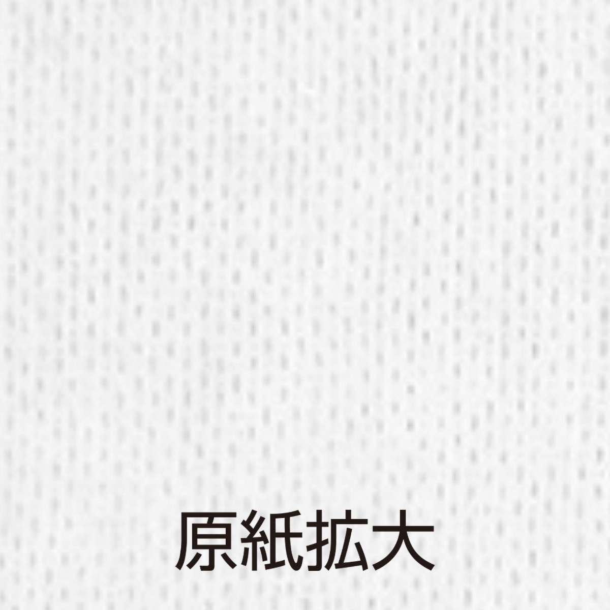 超大判ウェットタオル　薄手50本入