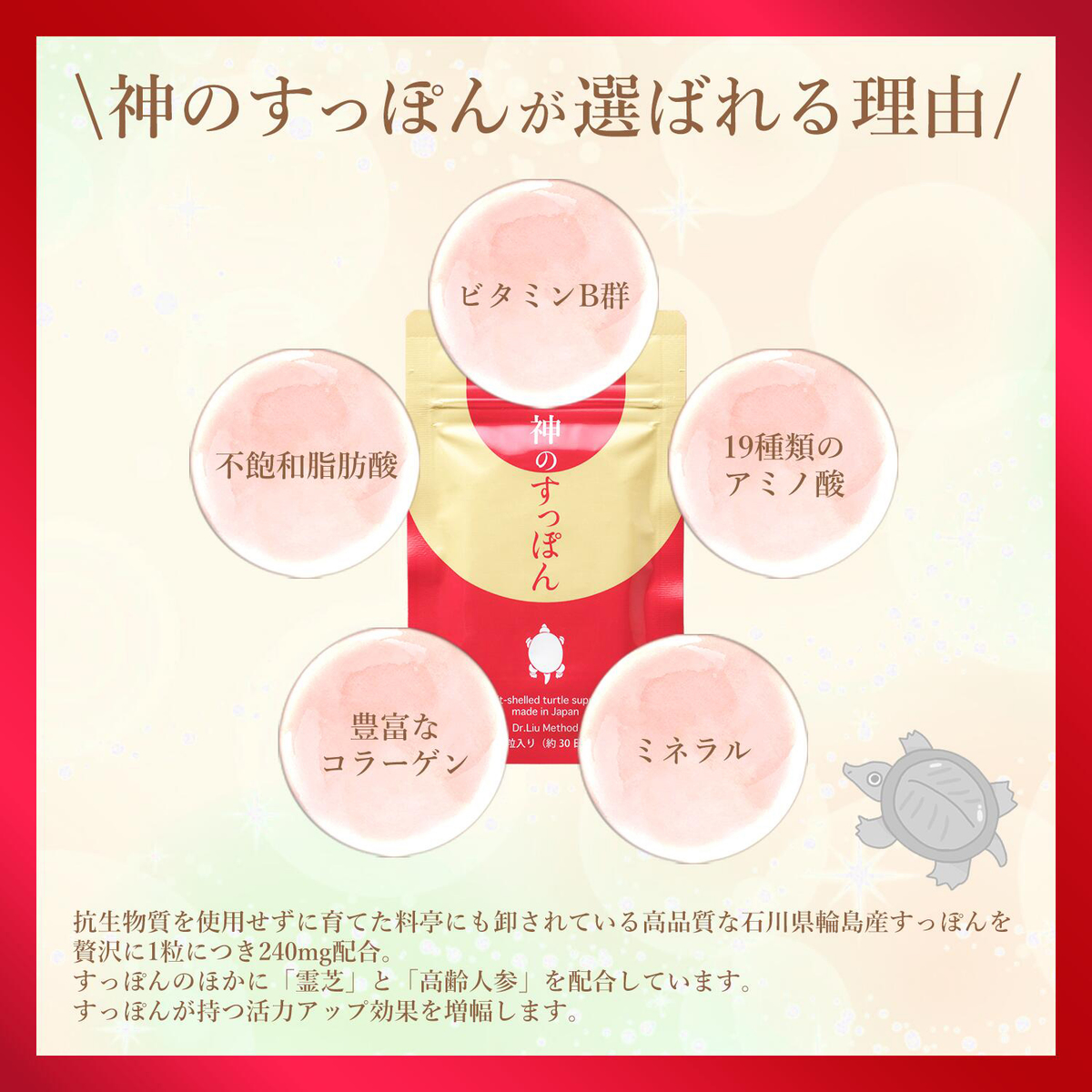 神のすっぽん