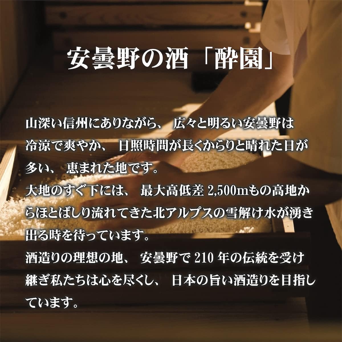 酔園　日本酒 飲み比べ 　3酒セット　300ml×3本【日本酒　長野県】