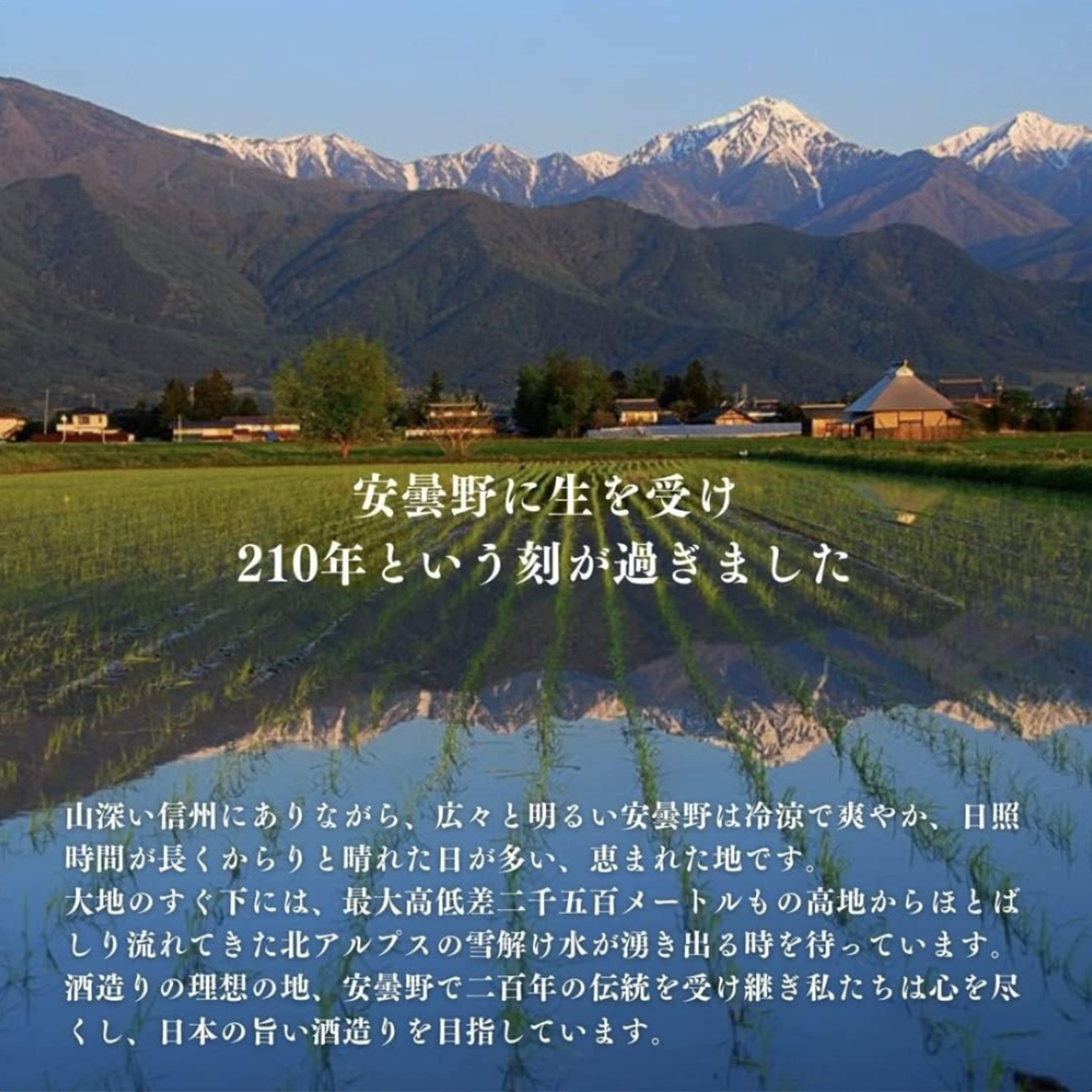 酔園　純米吟醸　幻の酒ブルー 　720ml 化粧箱入り　【日本酒　長野県】