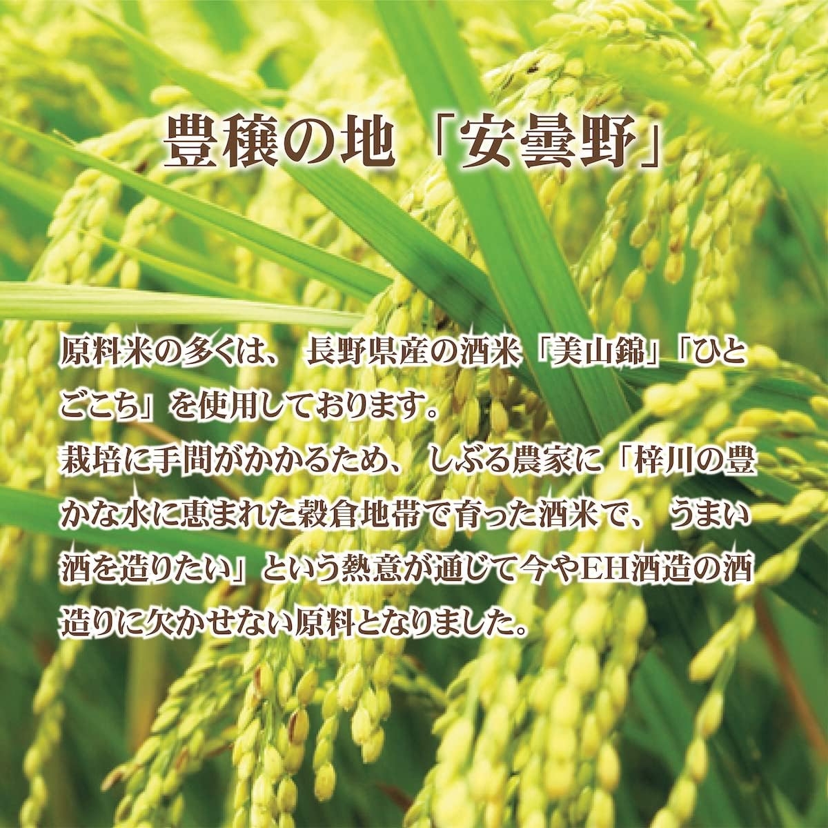 酔園　純米吟醸　幻の酒ブルー 　720ml 化粧箱入り　【日本酒　長野県】