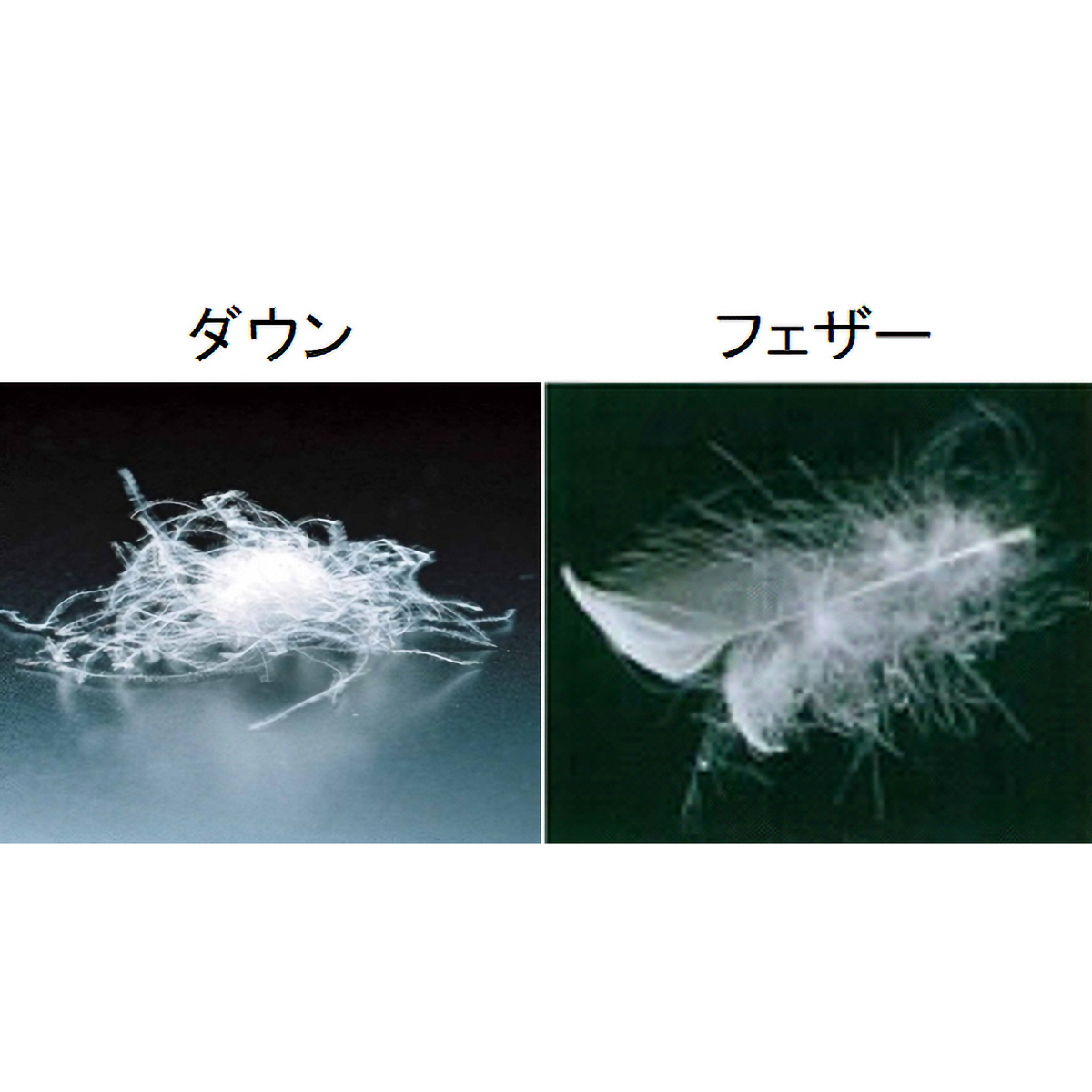洗える夏用ダウンケットシングル