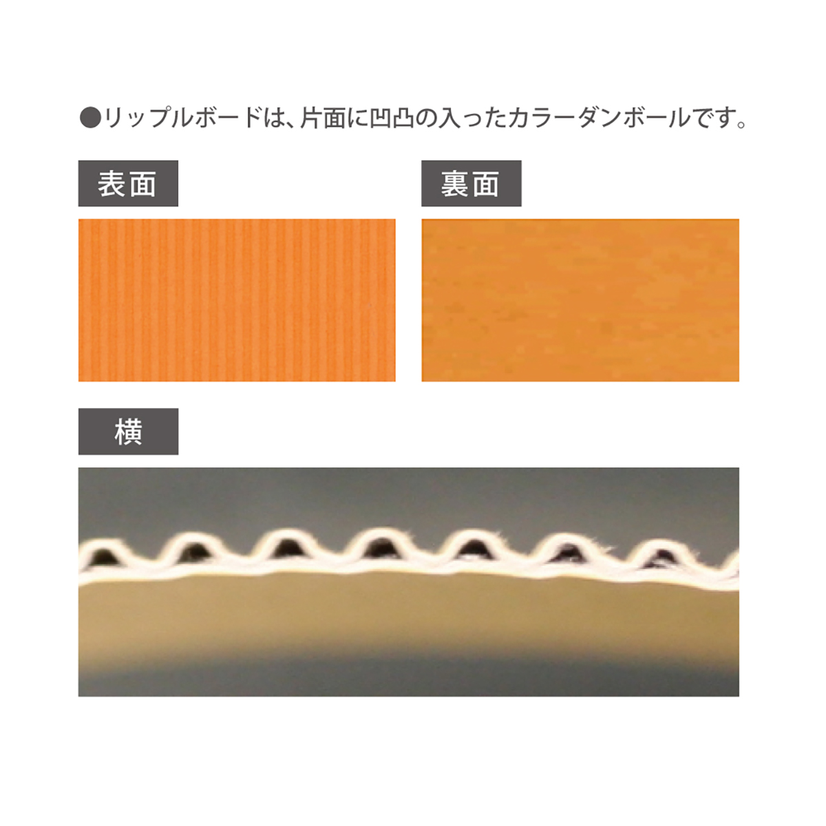 リップルボード/レッド