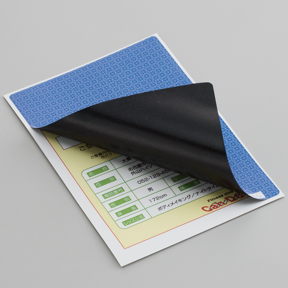 ヒサゴ　目隠しラベル　はがき用４面／地紋　５０シート入