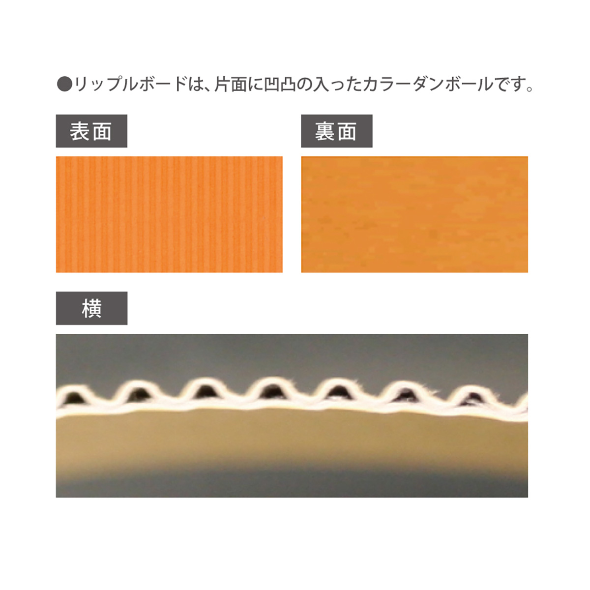 リップルボード薄口A4/ホワイト