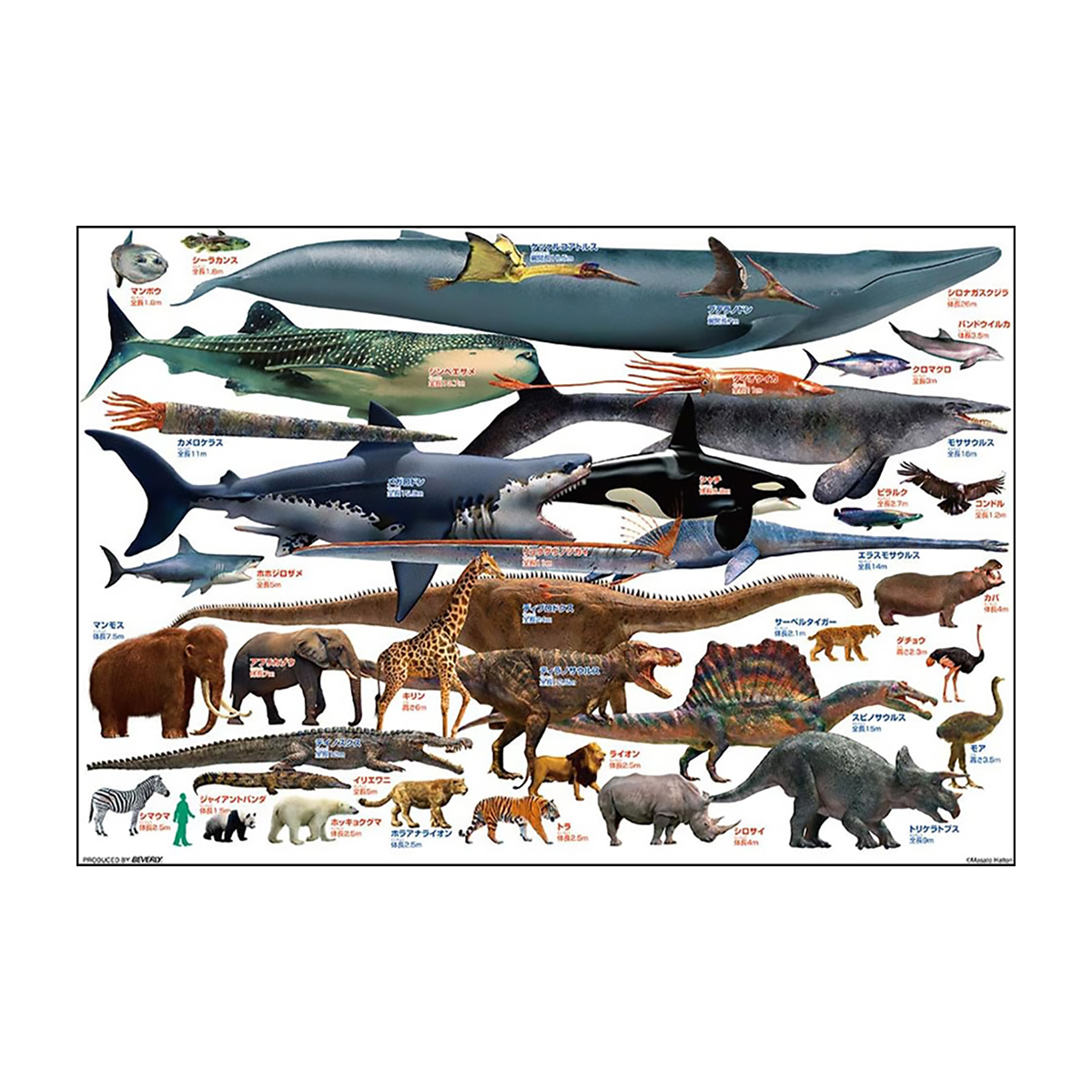 【ジグソーパズル】巨大生物くらべてみよう！