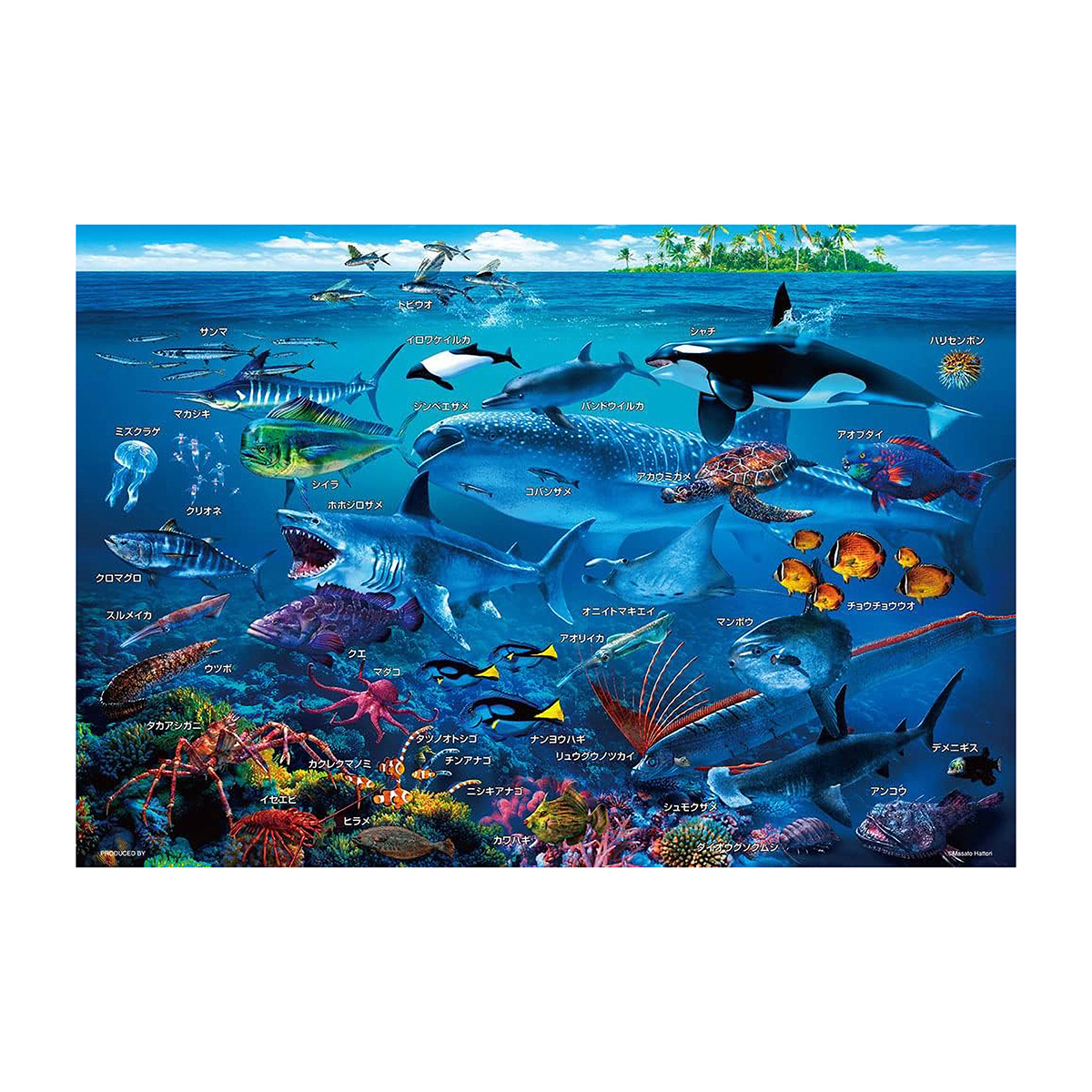 【ジグソーパズル】海の生物おぼえちゃおう！