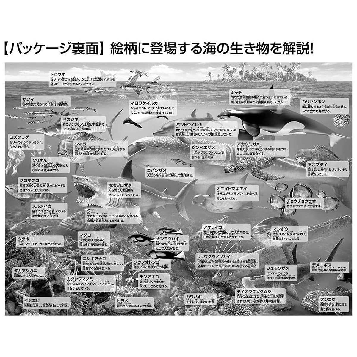 【ジグソーパズル】海の生物おぼえちゃおう！