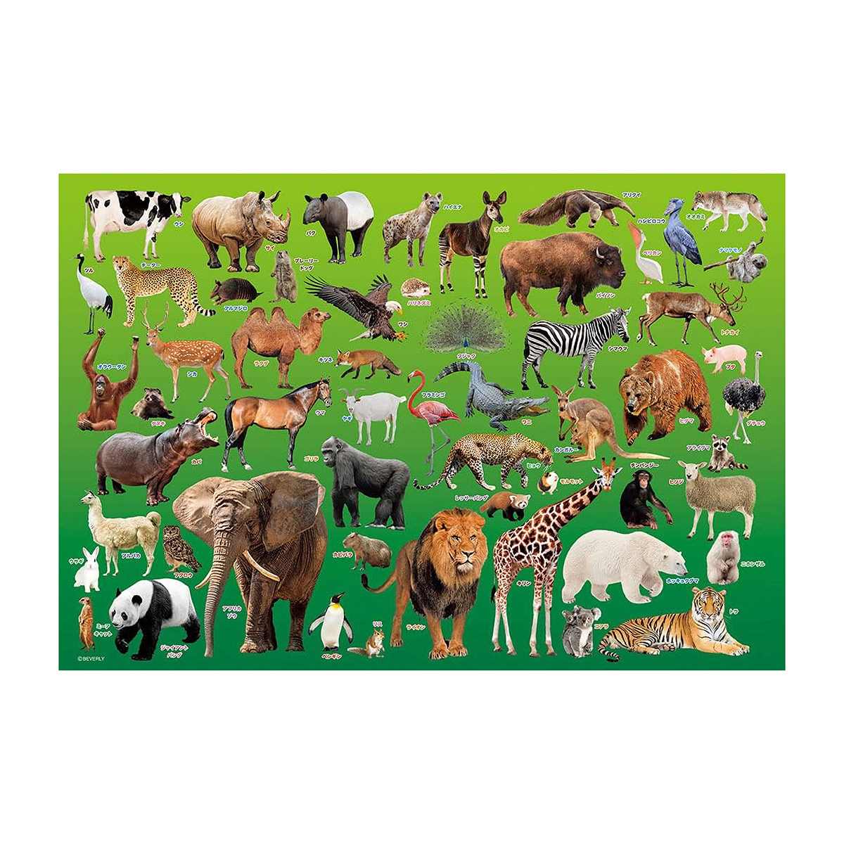 【ジグソーパズル】動物園