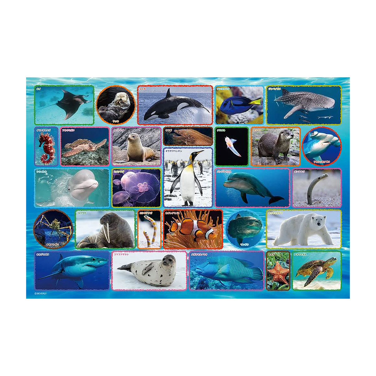 【ジグソーパズル】水族館