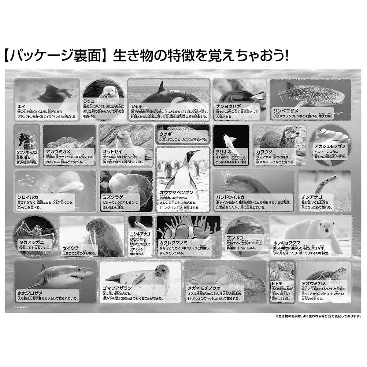 【ジグソーパズル】ビバリー　水族館