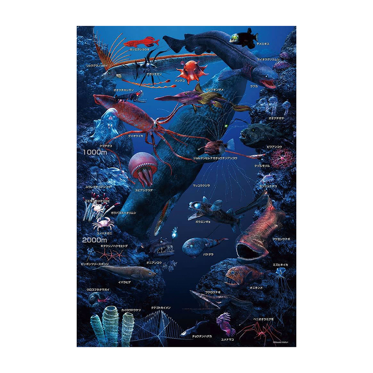 【ジグソーパズル】深海の生物おぼえちゃおう！