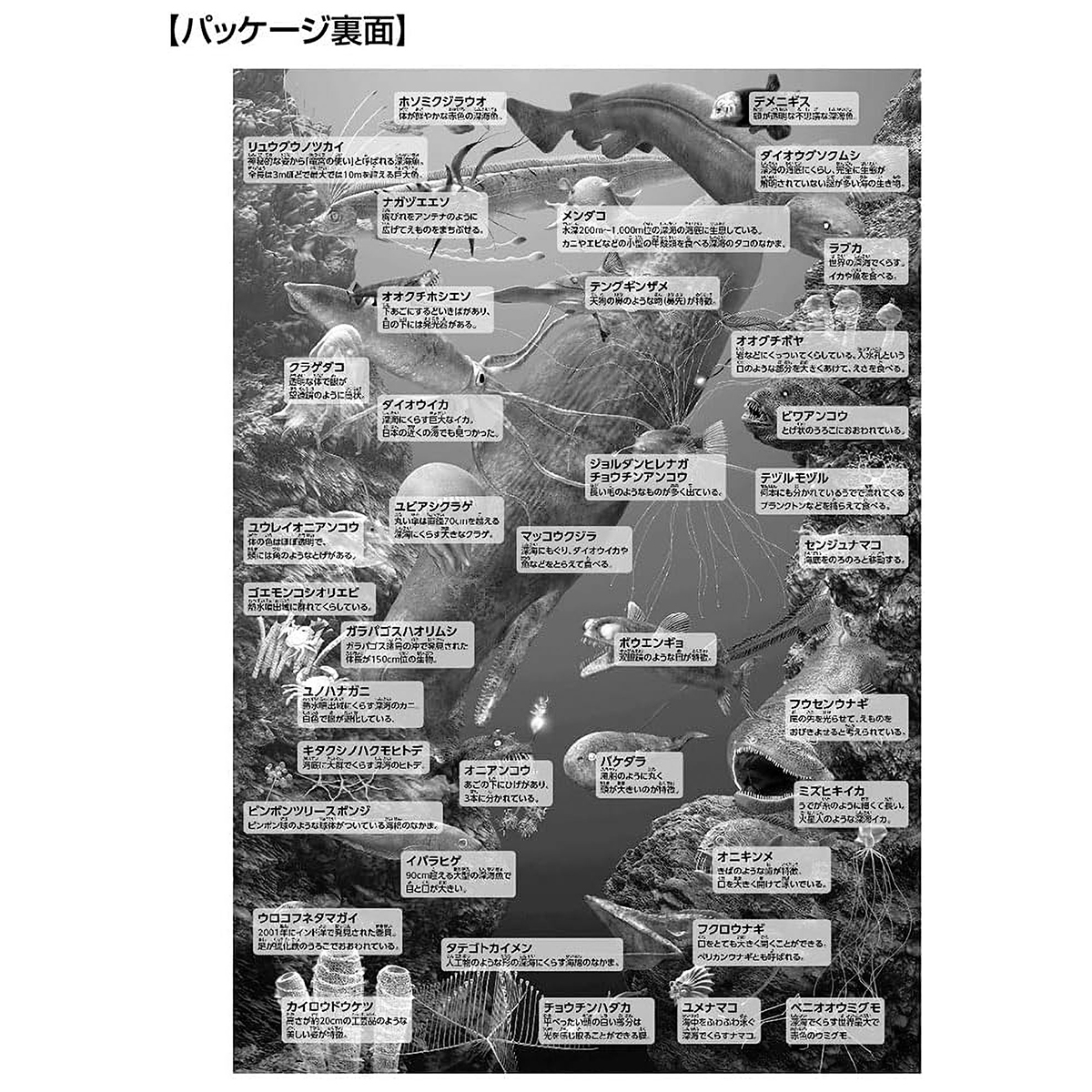 【ジグソーパズル】深海の生物おぼえちゃおう！