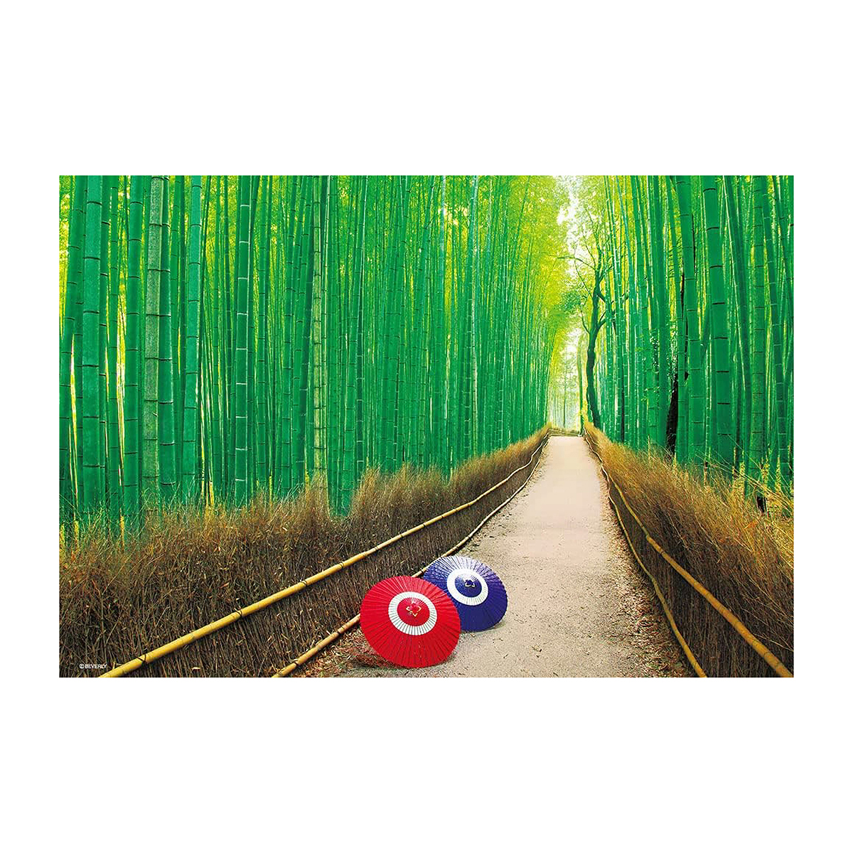 【ジグソーパズル】ビバリー　嵯峨野の竹林