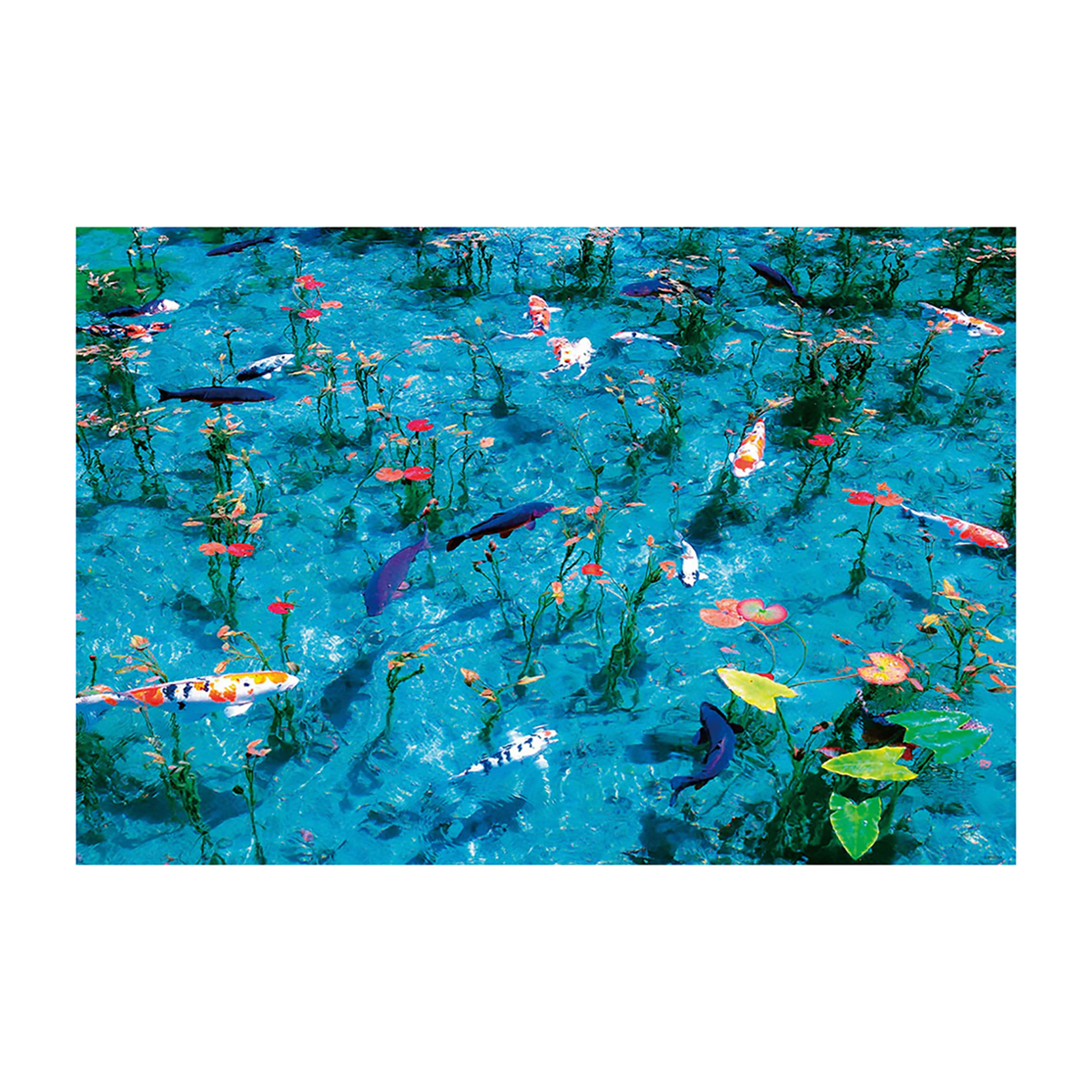 【ジグソーパズル】ビバリー　モネの池