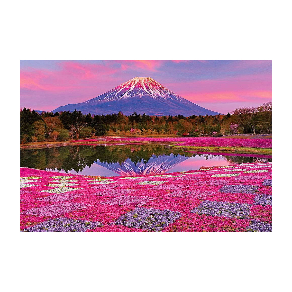 【ジグソーパズル】ビバリー　夕陽に染まる富士