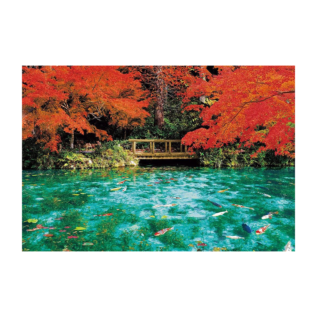 【ジグソーパズル】ビバリー　秋色に彩るモネの池