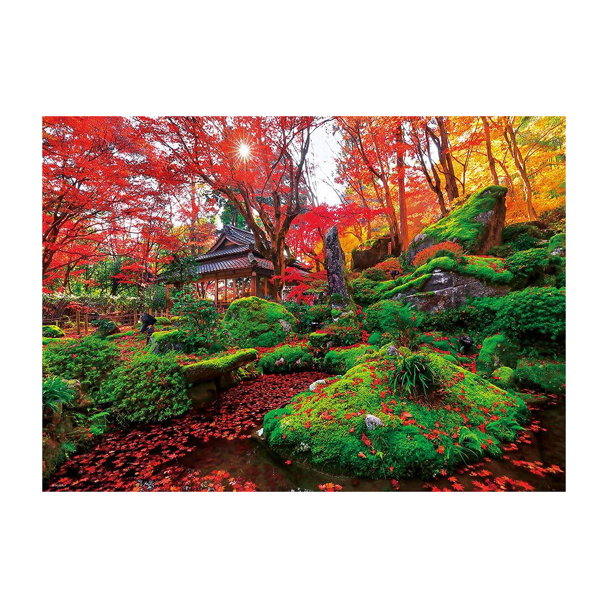 【ジグソーパズル】ビバリー　紅葉の教林坊