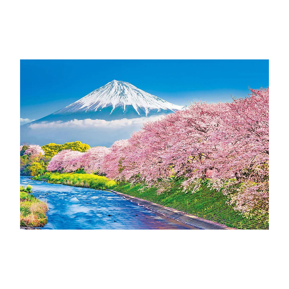 【ジグソーパズル】富士と潤井川の桜並木